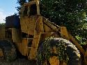 CASE W36B WHEEL LOADER - Category: Wheel Loaders